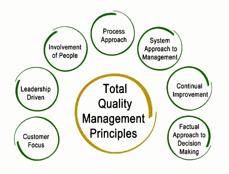 5 principles of total quality management